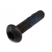 Screw Lens Head Torx M5 X 22 Iso7380-1 Tx