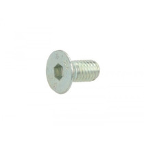Schroef inbus Verzonken -DIN7991- M6 x 12mm