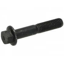 Screw With Flansh M10 X 55mm