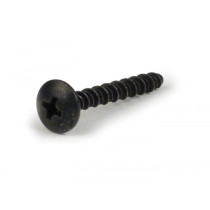 Screw Piaggio 4x30 Self Tapping Cross Head (used For Secondary Air Housing Vespa Px 2011)