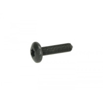 Screw Body Parts M6 X 16mm W/o Step Piaggio Torx Head