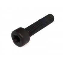 Screw Torx M5 X 22 Iso14579 Tx