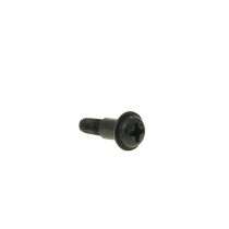 Carburetor Cover Screw (plastic Cover)