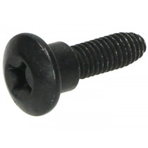 Screw Body Parts 30mm With Step Piaggio Phillips Head