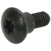 Screw Body Parts M6 X 10mm With Step Piaggio Torx Head
