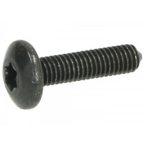 Screw Body Parts M6 X 25mm W/o Step Piaggio Torx Head