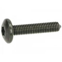 Screw Body Parts M6 X 30mm W/o Step Piaggio Torx Head
