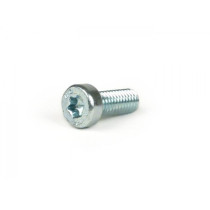 Screw Torx Iso14580 M5 X 12mm Tx25  8.8