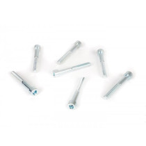 Screw Set Malossi