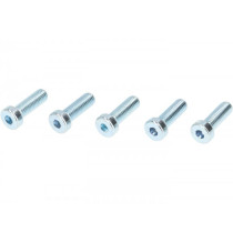 Screw Set For Front Wheel Hub 10" Vmc Racing V50 Style  Silver