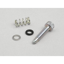 Idle Screw Dellorto