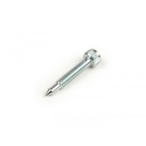 Idle Screw Dellorto