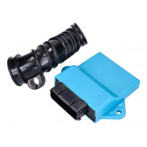 Control Unit / Ecu / Cdi Naraku