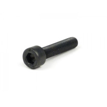 Schroef inbus iso 4762- M5 X 25 (Aprilia, Derbi, Gilera)