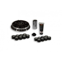 Variatorkit Malossi