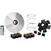 Variatorkit Malossi