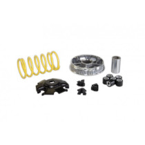 Variatorkit Malossi