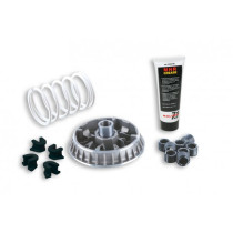 Variatorkit Malossi