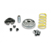 Variatorkit Malossi