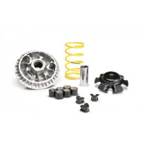 Variator-Kit -MALOSSI