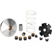 Variomatic Malossi Multivar  Bye Bike One