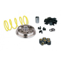 Variatorkit Malossi