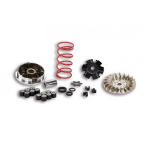 Variatorkit Malossi