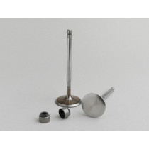 Valves Malossi Minarelli 250300 Cc