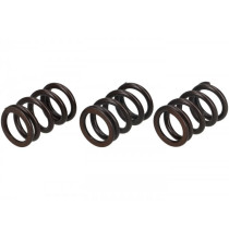 Valve Spring Set Malossi Piaggio 3v Iget 50 Ie 4t Euro5