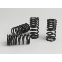 Valve Spring Set Malossi Piaggio Master 400500 Ccm