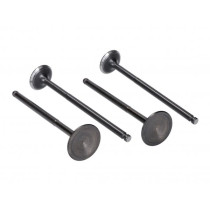 Valve Kit Cylinder Head Naraku