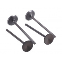 Cylinder Head Valve Set Naraku