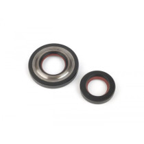 Oil Seal Set For Crankshaft Malossi Ptfe/fkm, 19mm Cone