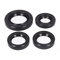 Engine Oil Seal Set 101 Octane For Peugeot Horizontal