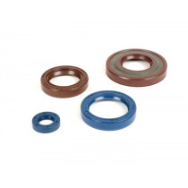 Oil Seal Set Engine Corteco Fkm  (Ø 24mm Cone)