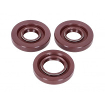 Engine Oil Seal Set Fkm 101 Octane For Puch Maxi (old Engine Type)