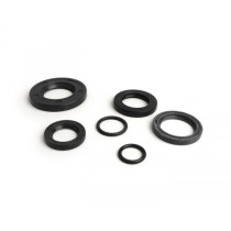 Oil Seal Set Engine Lambretta J125 (4 Gang)