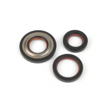 Oil Seal Set Engine Malossi Ptfe/fkm, 19mm Cone