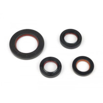 Oil Seal Set Engine Malossi Ptfe/fkm