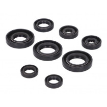 Engine Oil Seal Set Naraku