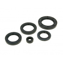 Engine Oil Seal Set Naraku For Honda Pantheon 125150 Lc 1998-2002