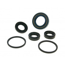 Engine Oil Seal Set Naraku