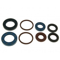Engine Oil Seal Set Naraku