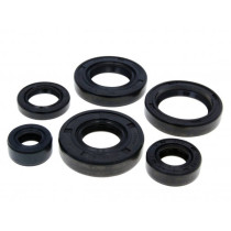 Engine Oil Seal Set Naraku