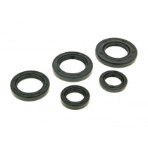 Engine Oil Seal Set Naraku