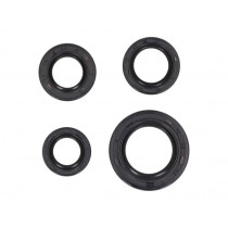 Engine Oil Seal Set Naraku For Peugeot Vertical