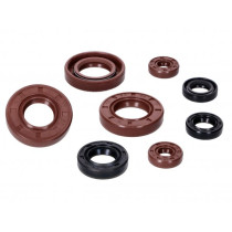 Engine Oil Seal Set Naraku