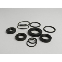 Oil Seal Set Engine Oem Quality Honda 50 Cc (type X8r)