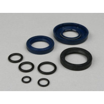Oil Seal Set Engine Oem Quality Vespa Pk125 Ets  (Ø 24mm Cone)