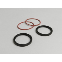 Oil Seal Set Polini Speed Drive